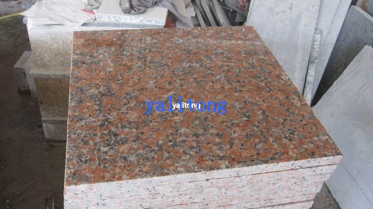 Maple punagraniittinen G562 kiillotettu laatat